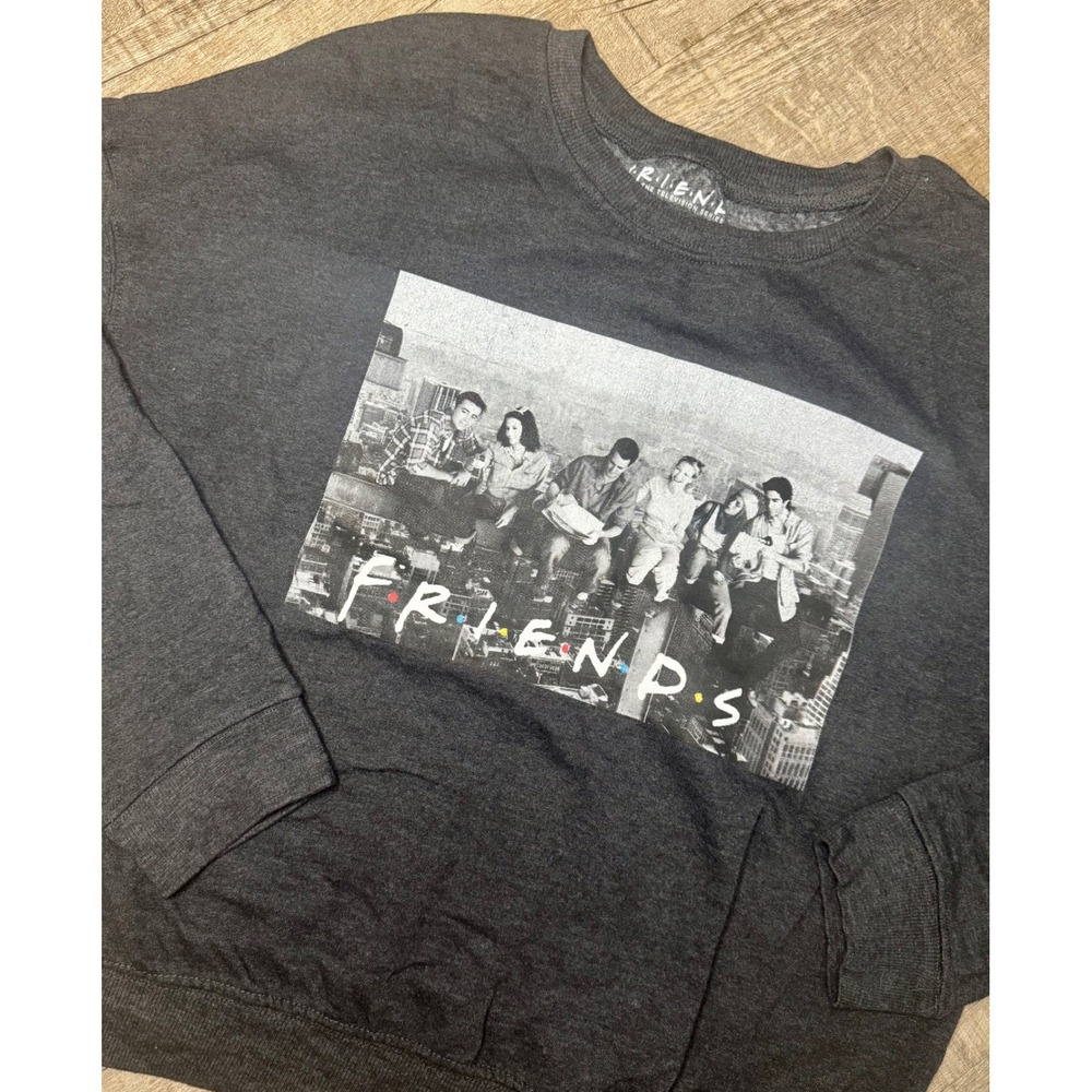Friends TV Show Cast Skyline Graphic Sweatshirt Gray Large 90s Style Pullover